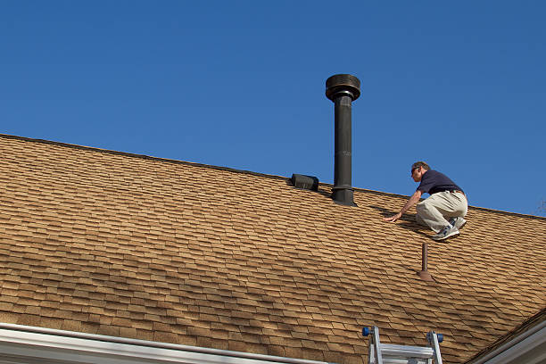 Best Roof Moss and Algae Removal  in Hillsborough, NJ